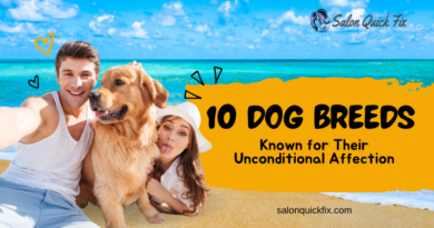 10 Dog Breeds Known for Their Unconditional Affection