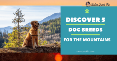 Discover Top 5 Dog Breeds for the Mountains