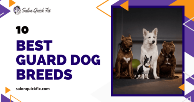 10 best guard dog breeds