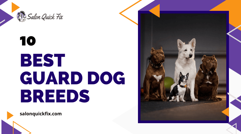 10 best guard dog breeds