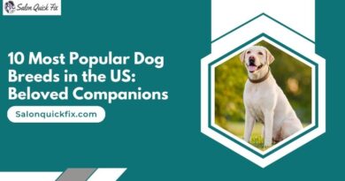 10 Most Popular Dog Breeds in the US: Beloved Companions