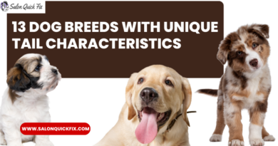 13 Dog Breeds with Unique Tail Characteristics
