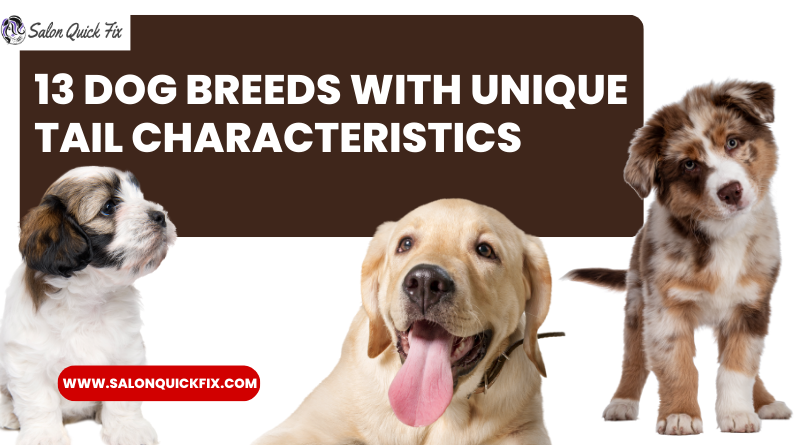 13 Dog Breeds with Unique Tail Characteristics