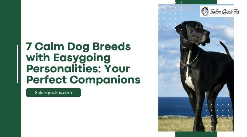 7 Calm Dog Breeds with Easygoing Personalities: Your Perfect Companions