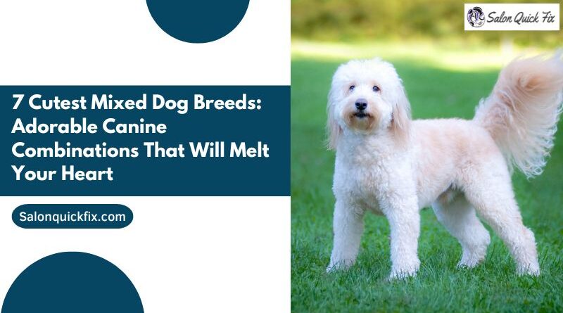7 Cutest Mixed Dog Breeds: Adorable Canine Combinations That Will Melt Your Heart