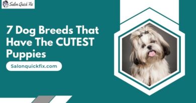 7 Dog Breeds That Have The CUTEST Puppies