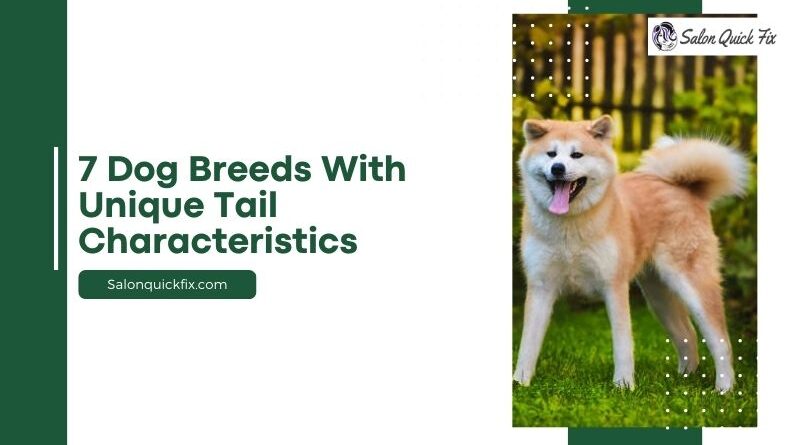 7 Dog Breeds with Unique Tail Characteristics