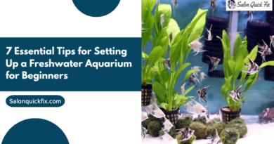 7 Essential Tips for Setting Up a Freshwater Aquarium for Beginners