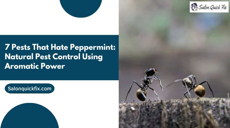 7 Pests That Hate Peppermint: Natural Pest Control Using Aromatic Power