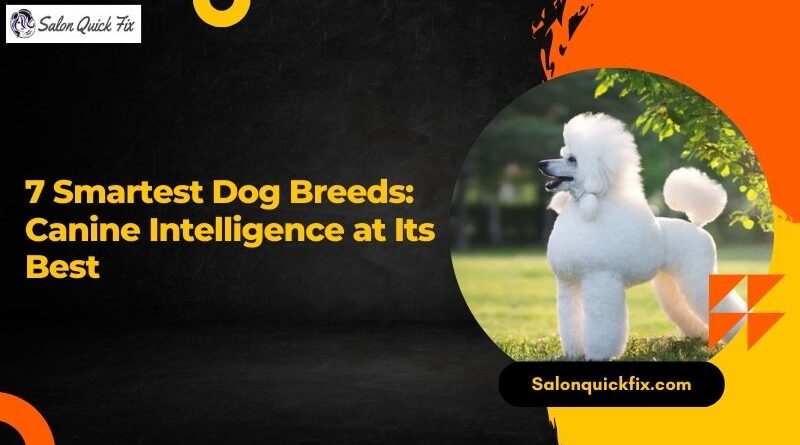 7 Smartest Dog Breeds: Canine Intelligence at Its Best
