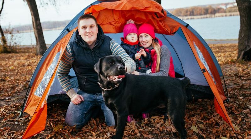 8 Dog-Friendly Camping Spots Explore the Great Outdoors with Your Furry Friend