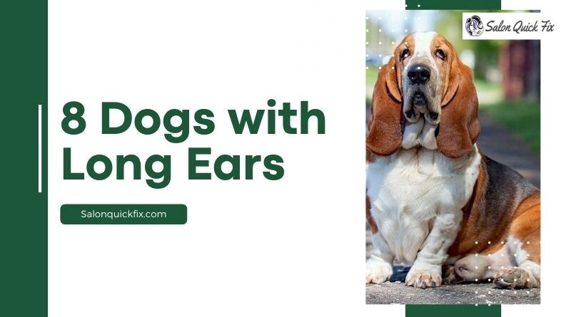 8 Dogs with Long Ears