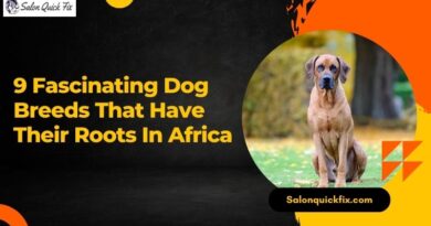 9 Fascinating Dog Breeds That Have Their Roots in Africa