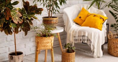 _Elements to Infuse Your Home with Eclectic Charm