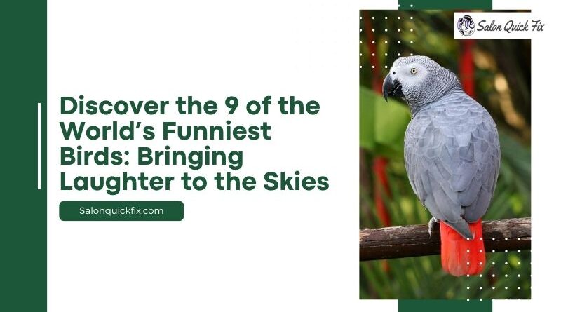 Discover the 9 of the World’s Funniest Birds: Bringing Laughter to the Skies