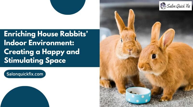 Enriching House Rabbits’ Indoor Environment: Creating a Happy and Stimulating Space