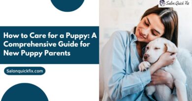 How to Care for a Puppy: A Comprehensive Guide for New Puppy Parents
