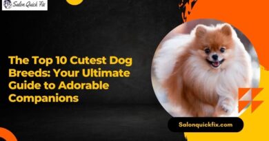 The Top 10 Cutest Dog Breeds: Your Ultimate Guide to Adorable Companions