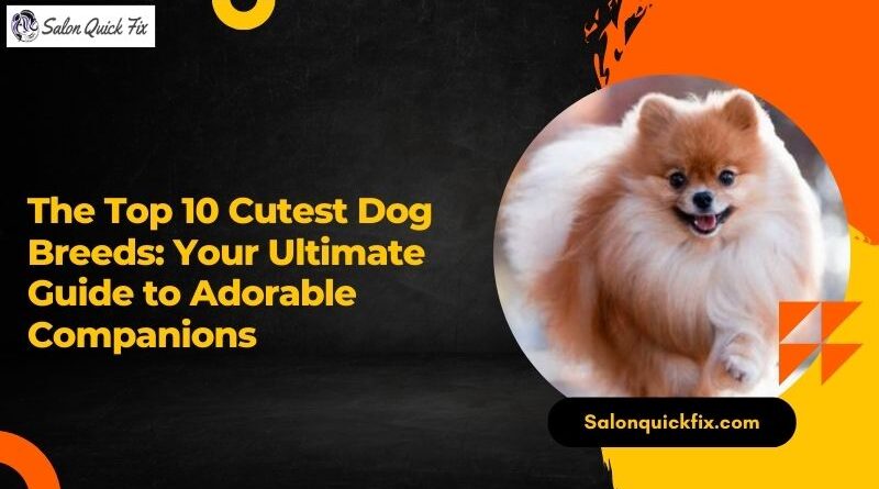 The Top 10 Cutest Dog Breeds: Your Ultimate Guide to Adorable Companions