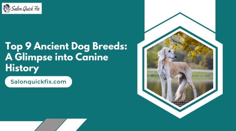 Top 9 Ancient Dog Breeds: A Glimpse into Canine History