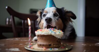 10 Paw-sitively Amazing Ways to Celebrate Your Dog’s Birthday
