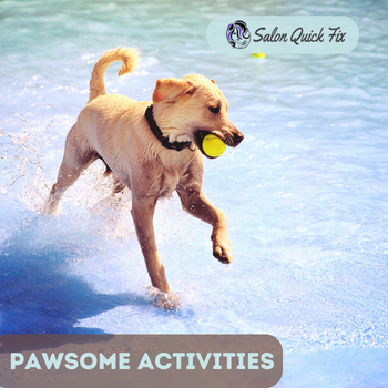 Plan some pawsome activities