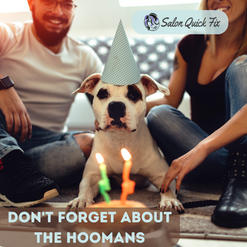 Don't Forget About the Hoomans