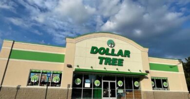 Best Items You Should Always Buy at Dollar Tree
