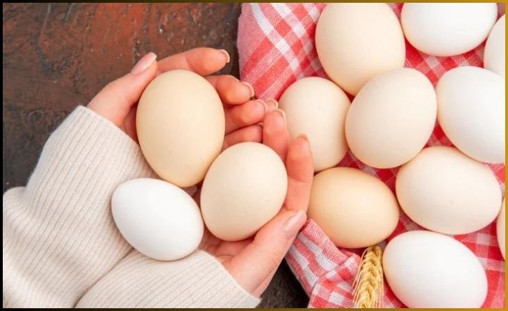Benefits of Using Eggs for Hair Growth
