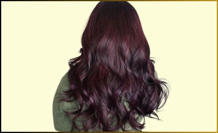 Burgundy hair color on black hair