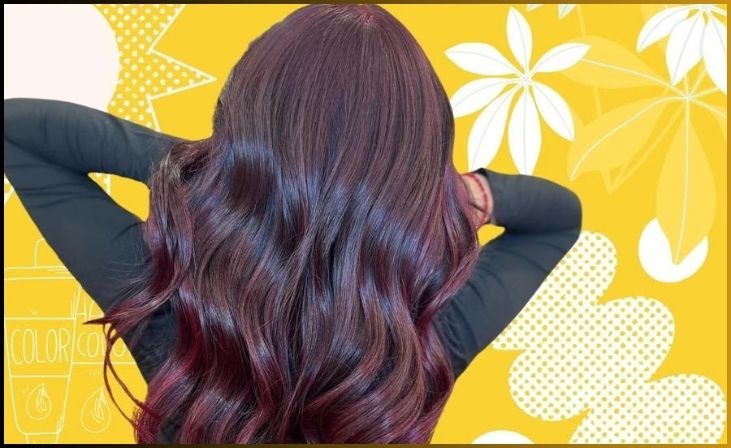Burgundy hair color with highlights
