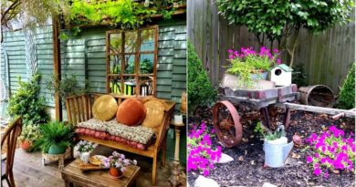 8 Garden Decor Ideas to Update and Accent Your Space