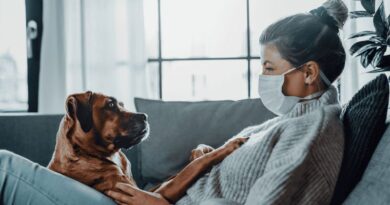 How to Stay Healthy Around Pets and Other Animals
