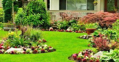 Transforming Small Front Yards: 7 Creative Landscaping Ideas