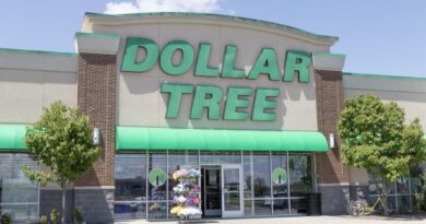 9 Best Items To Buy at Dollar Tree This Winter