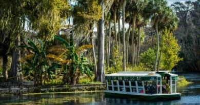 8 Best Things To Do In Ocala, Florida