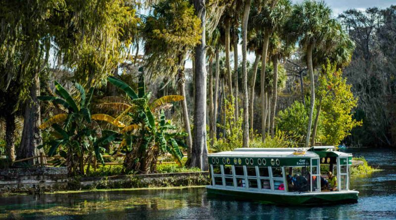8 Best Things To Do In Ocala, Florida