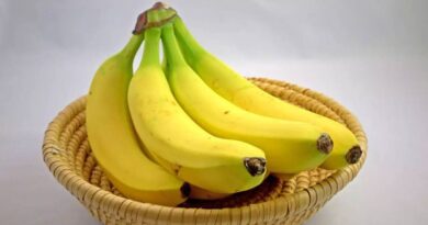 Top 10 Reasons to Eat Bananas Daily