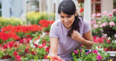 7 Smart Tips For Growing Garden In Low Budget