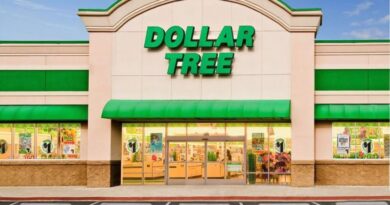8 Kitchen Items You Should Buy at Dollar Tree To Save Money In 2024
