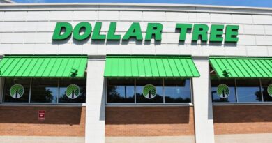 9 Dollar Tree Items To Stock Up On This Summer