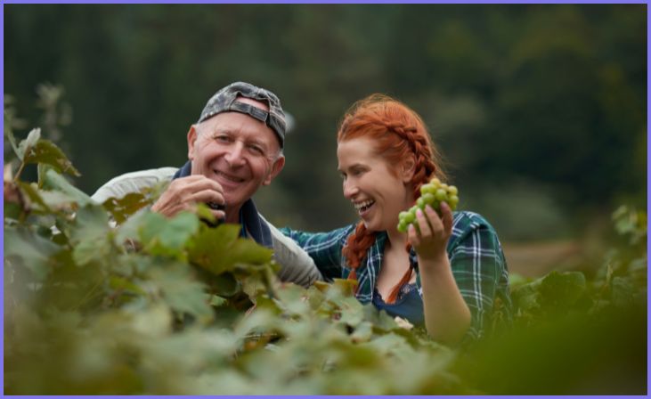 Harvest and Enjoy