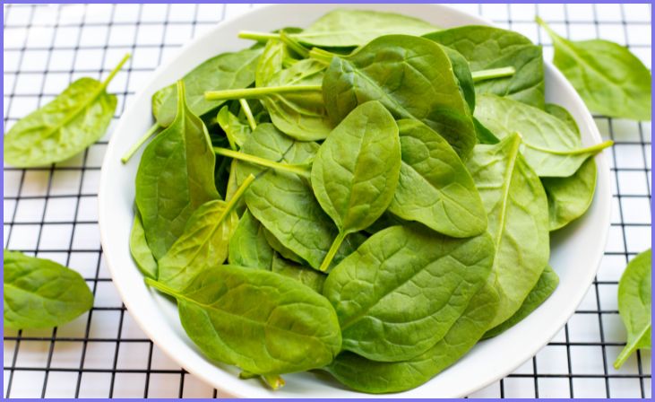 Spinach to Battle Brittle Hair: Nutrient-Rich Green